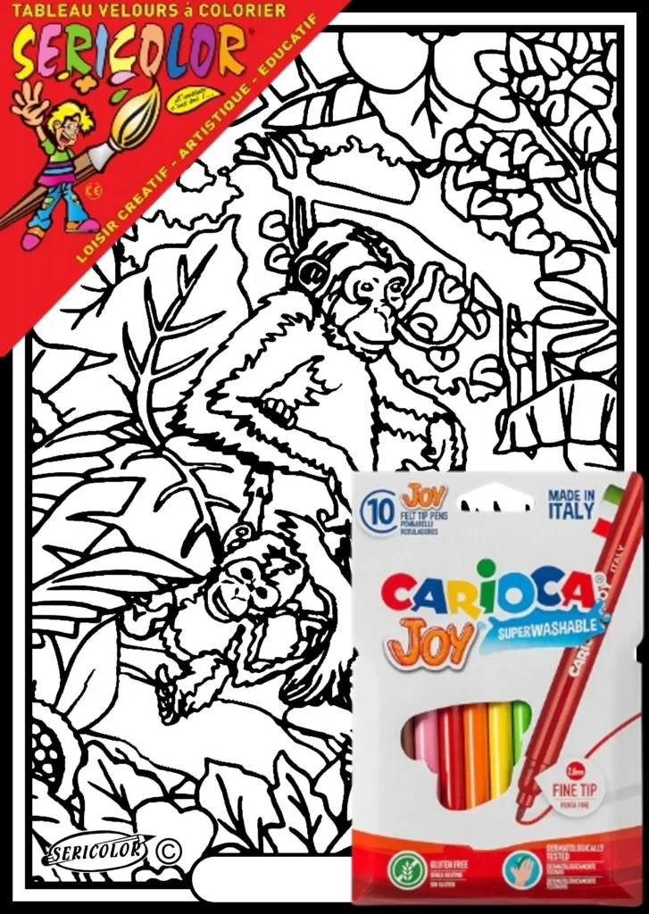 TABLEAU SERICOLOR - SINGES