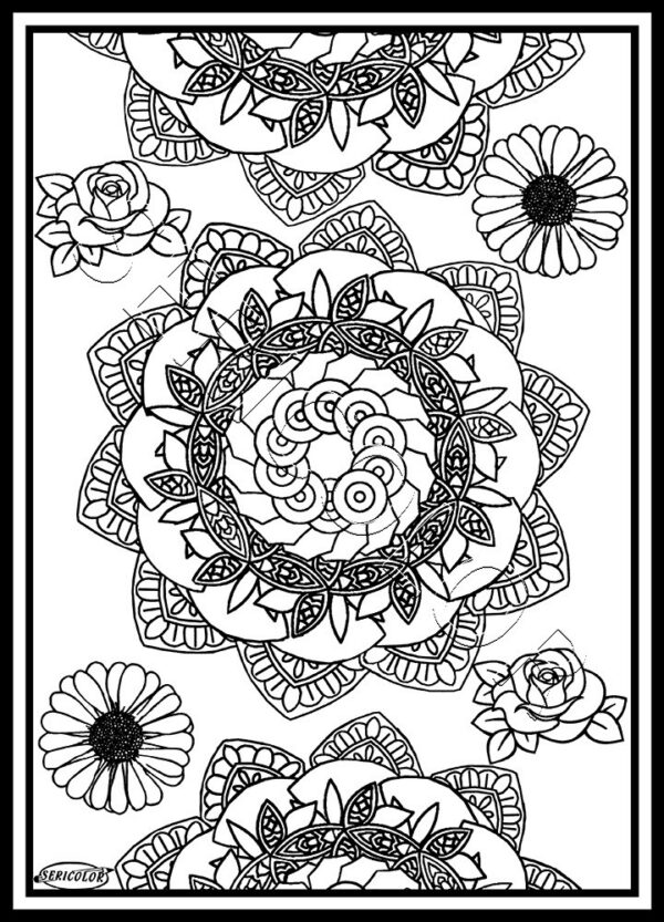 TABLEAU SERICOLOR - MANDALA FLEURS