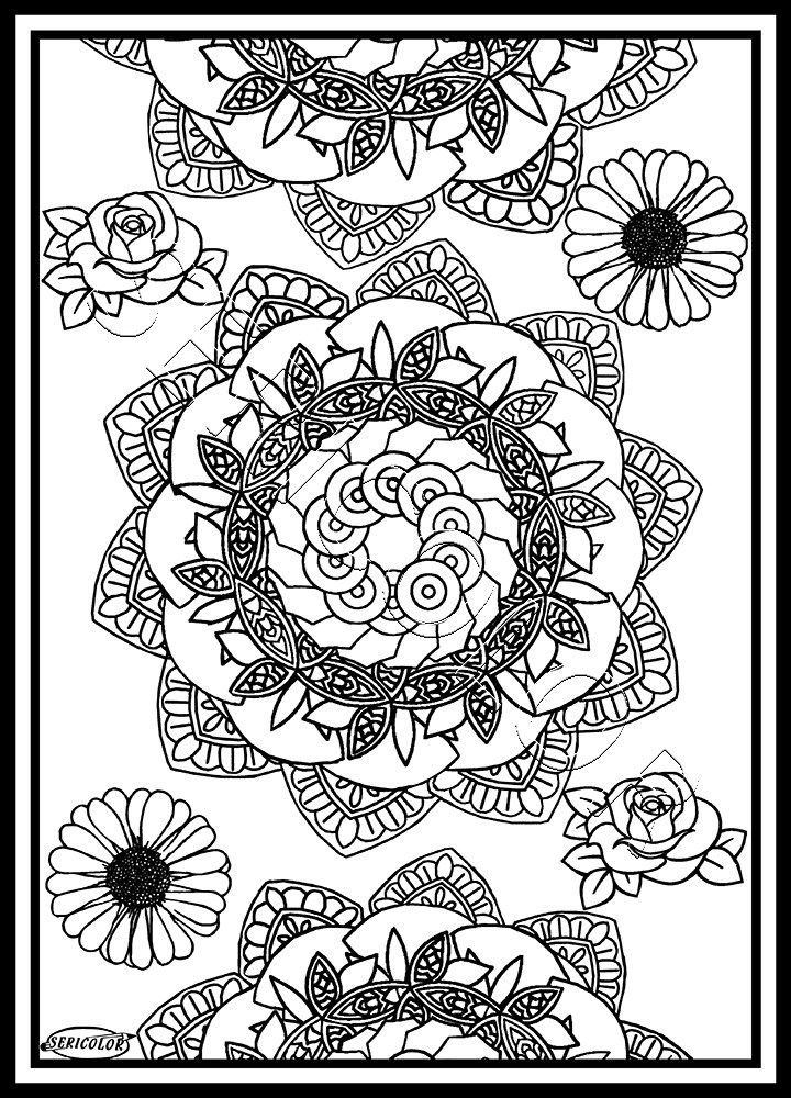 TABLEAU SERICOLOR - MANDALA FLEURS – Image 1